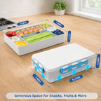 Chilled Portable Snackle Box Container with Ice Pack, Portable Travel Food Containers with Lids, Keep Cheese and Fruits Remained Fresh for Hours, Divided Serving Tray for Family Road Trip Beach Picnic,8-Pack Carton